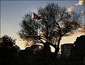 2024-12-xx-Turkey-Naula-27-4763-abc.jpg